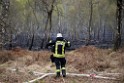 Waldbrand Wahner Heide Troisdorf Eisenweg P098